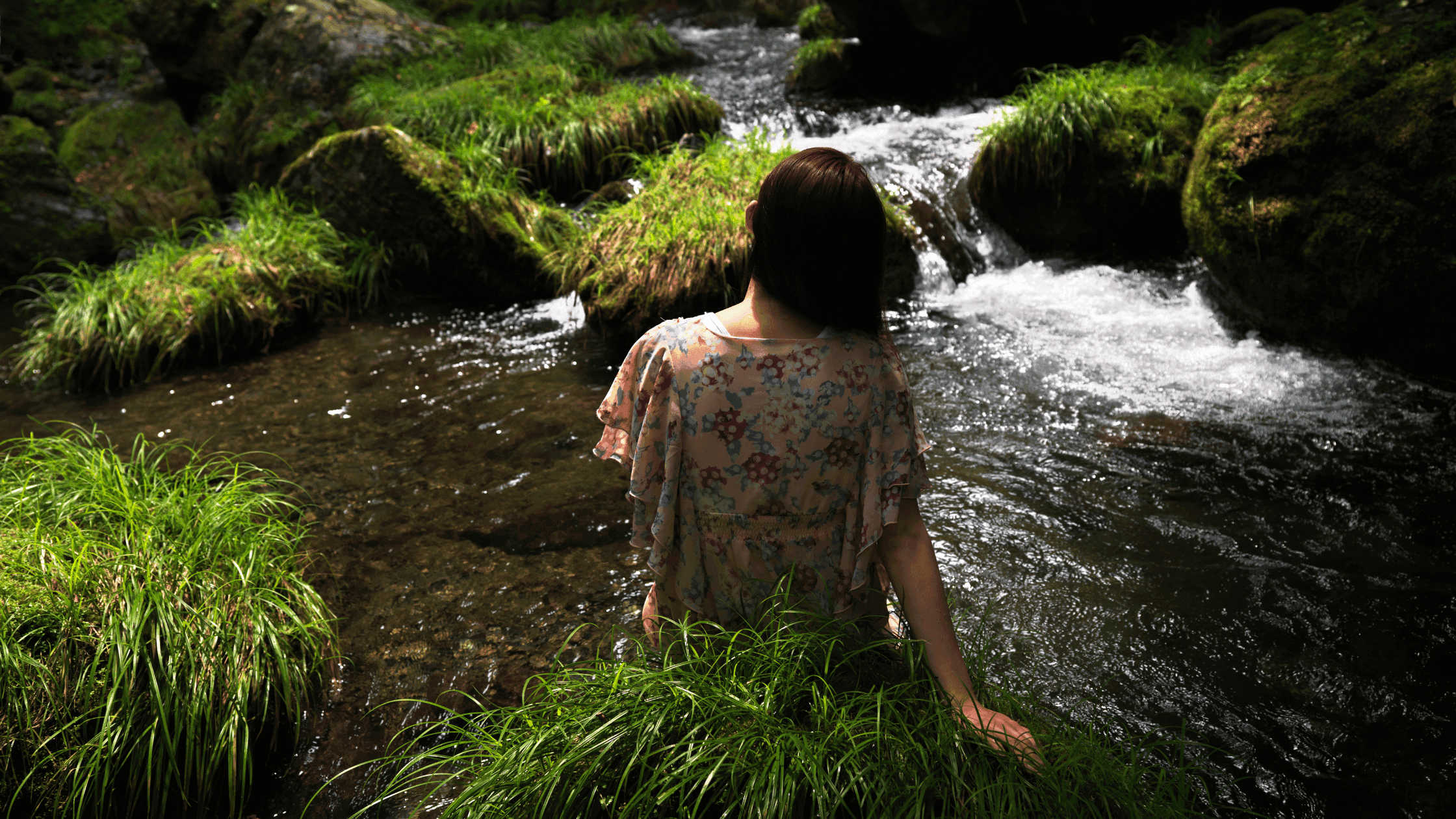 Building Safe and Inclusive Psychedelic-Assisted Therapy Training in Alberta