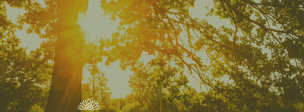 Discover how ketamine therapy fast alleviates depression, anxiety & PTSD, unlocking deep healing while offering a potent alternative to traditional therapy!
