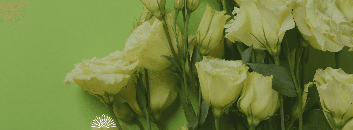 Woman's health and psychedelics