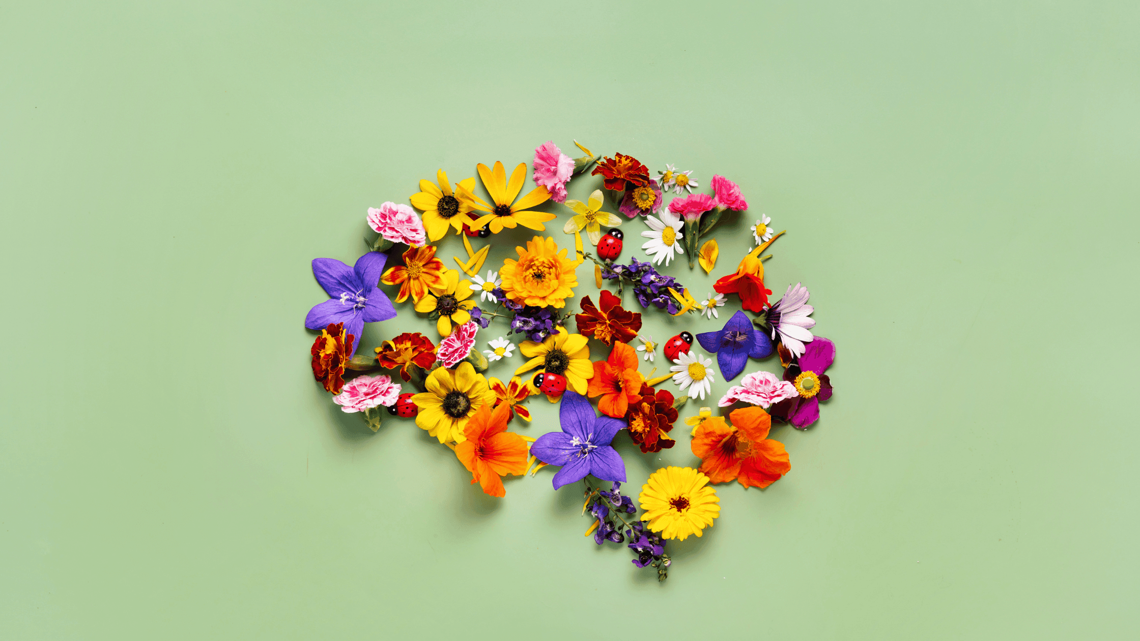 May Mental Health Month