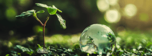 healing, mental health, alternative medicine