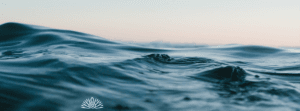 Breaking Barriers in Mental Health: A Conversation with Reverdi Darda