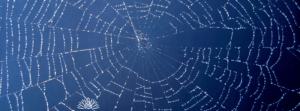 How ATMA CENA is Creating a Nationwide Clinic Network for Therapists