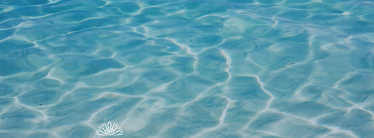 New Psychedelic Assisted Therapy Opportunities for Therapists