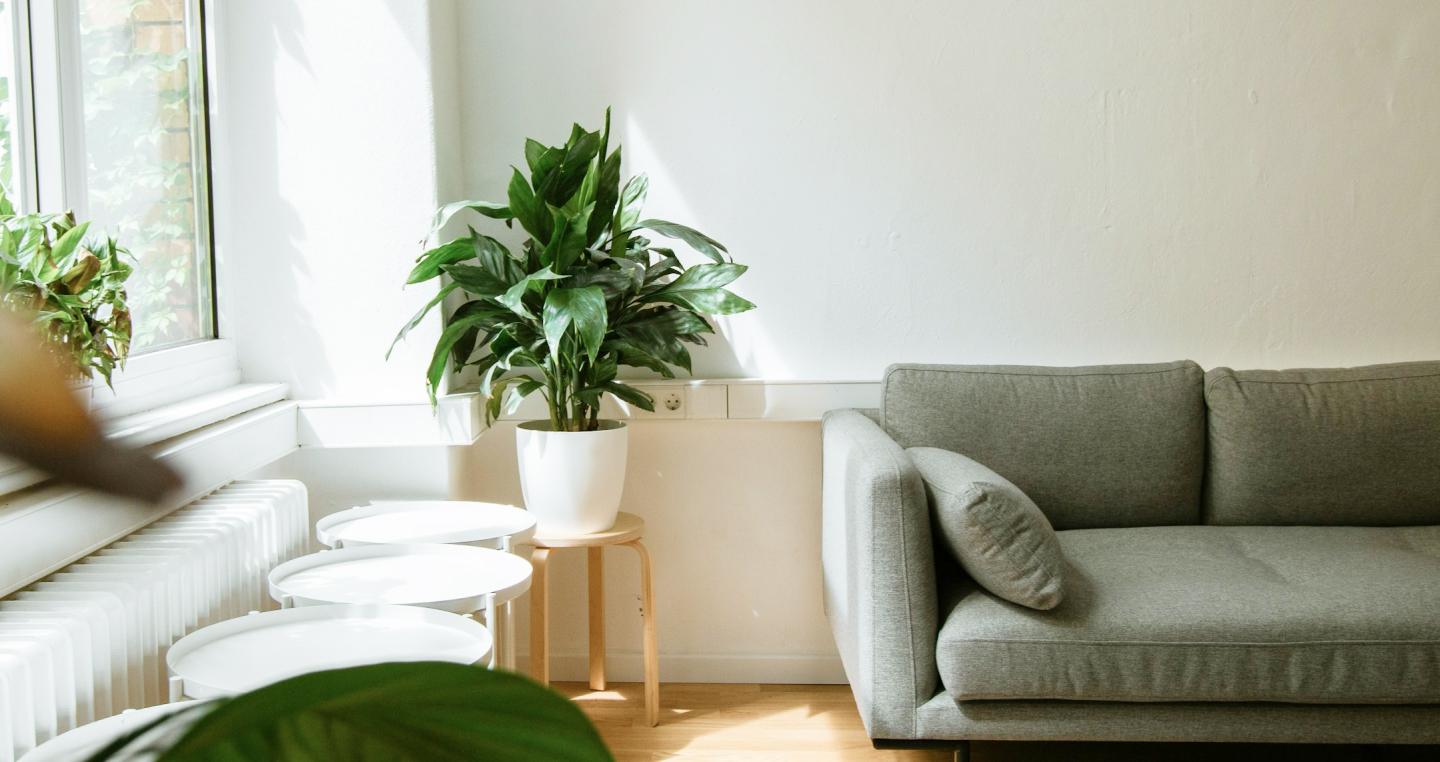 Bay Psychology - Psychedelic Therapy North Bay