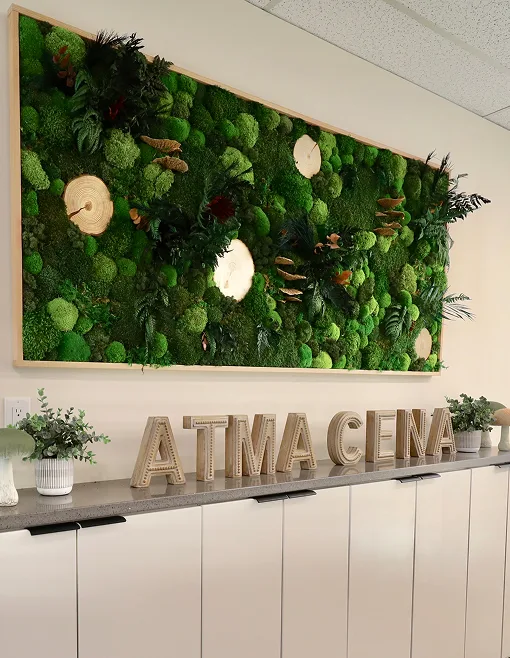 Edmonton Psychedelic Therapy Clinic