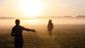 Psychedelics and PTSD