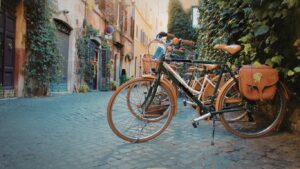 Bicycle Day and Integration Circles at ATMA CENA