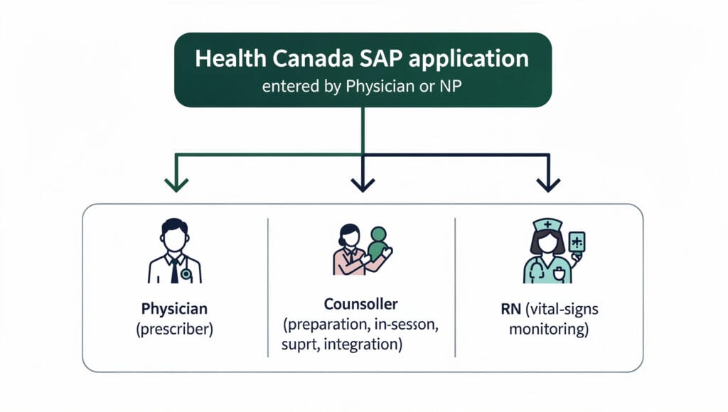 Diagram of the SAP framework showing that only physicians and nurse practitioners can submit applications, with counsellors as team members.
