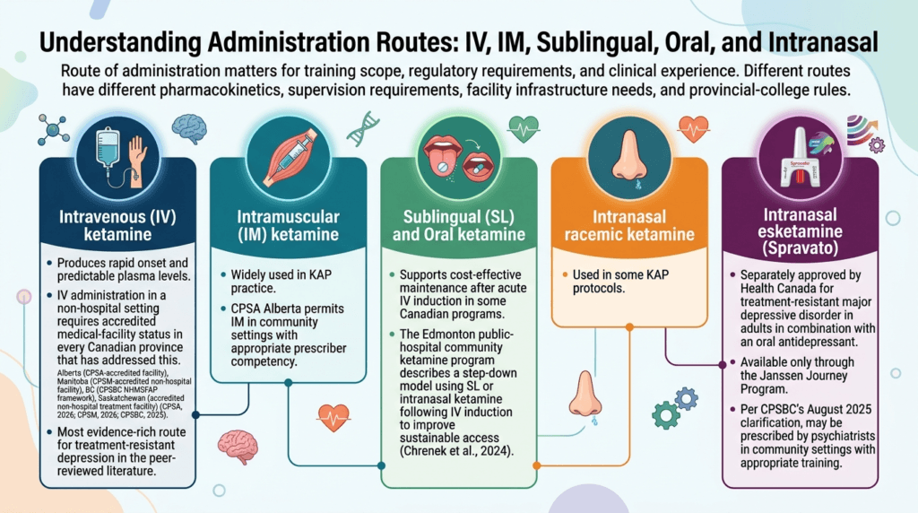 Understanding Ketamine Administration Routes