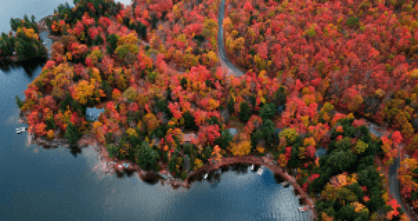 North Bay